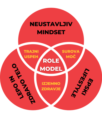 ROLE MODEL CYCLE 2